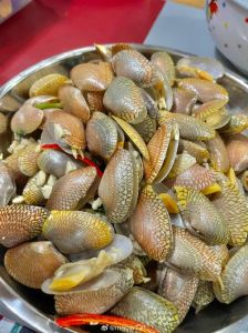 一月份花甲肥美吗_花甲鲜美营养，清蒸炒煮皆宜