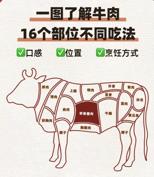 牛瓦沟牛哪个部位图解_嚼劲足，性价比高！