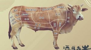 牛腩是哪个部位图解_牛肉部位不同，口感风味各异，牛腩炖煮最香浓！