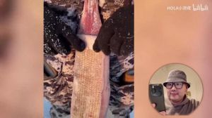 北极圈的饮食习俗_生理与文化的双重原因