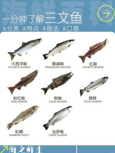 三文鱼各部位切片图解_三文鱼不同部位风味各异，鱼腩鱼背鱼腹鱼尾鱼头各有特色，可生可熟，口感丰富