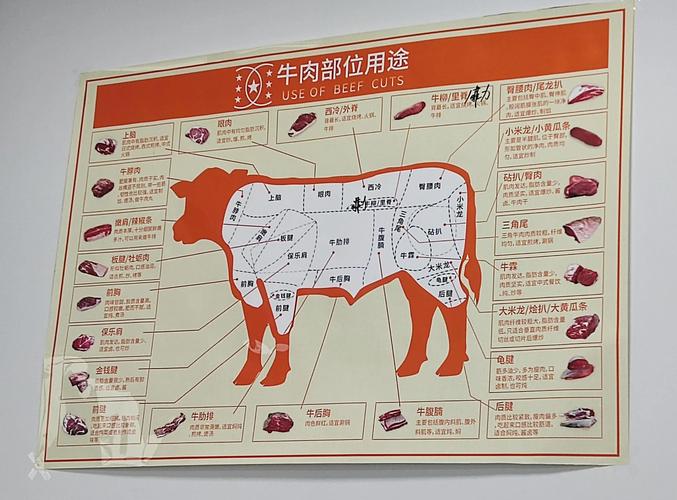 牛瓦沟牛哪个部位图解_嚼劲足，性价比高！