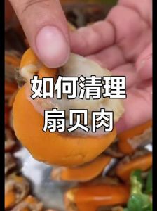 扇贝肉去除内脏图解_新鲜扇贝怎么处理？去内脏去黑线步骤分享