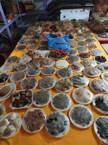 满汉全席108道详细菜名_野味烤肉香肠，品味满族风情