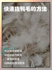 鸭毛拔不干净怎么办_70度热水加调料，顺序拔毛更轻松