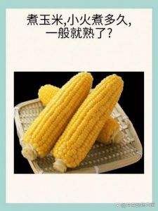 为什么玉米煮不熟_新鲜5-8分钟，冷冻8-10分钟，火足盐少许