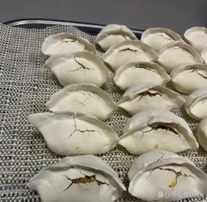 生饺子冷藏一天会坏吗_生饺子冷藏1天，熟饺子冷藏1-2天需加热