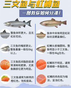 红鳟鱼和三文鱼的对比图_三文鱼红鳟鱼怎么选？外观口感习性大不同