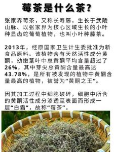 茶叶苦涩味怎么去除_水温投茶有讲究
