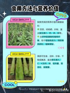 莴笋与贡菜是一种菜吗_皇家贡品，营养美味佳肴