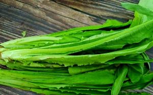 油麦菜就是莴笋叶吗_区别大不同