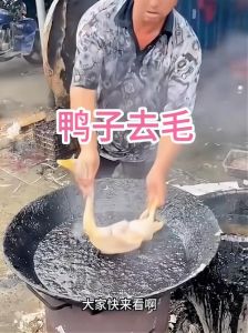 杀鸭子为什么要用松香_松香烫鸭毛，肉鸭快脱毛