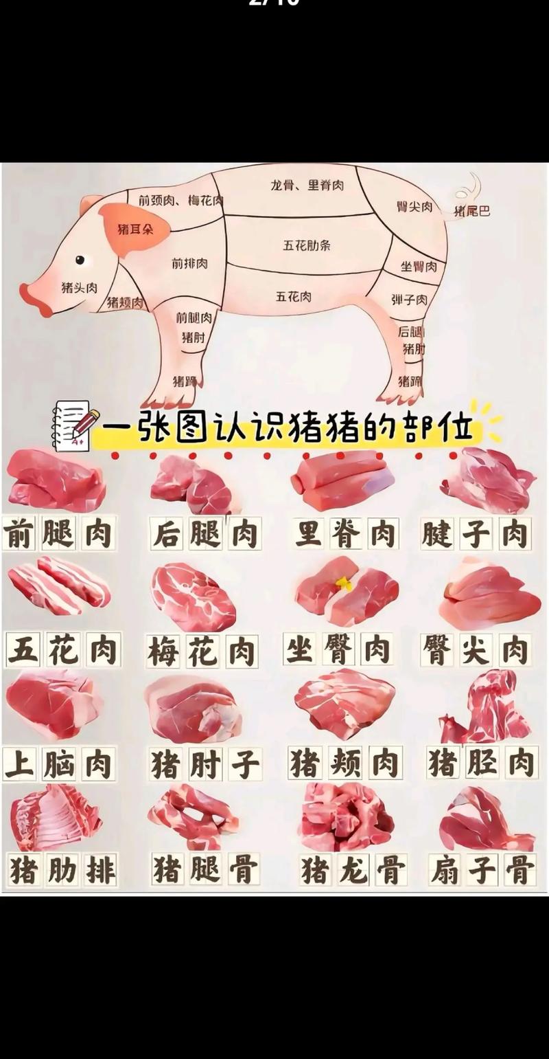 猪各部位肉的名称图解_煎炒炖涮,选对才美味! 猪各部位肉的名称图解_煎炒炖涮,选对才美味!