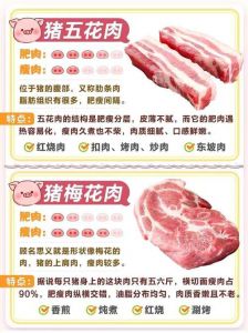 精三线肉和五花肉区别_口感大不同，如何选？