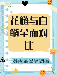 花鲢和白鲢的区别_花鲢肉细头香，白鲢清塘做鱼生