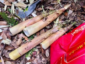 苦笋怎么去苦味最快_苦笋去苦小妙招，多种方法尝鲜