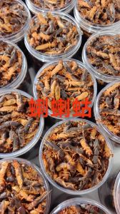 蝲蛄和蝼蛄有什么区别_寒性药用，利水消肿，食用需谨慎