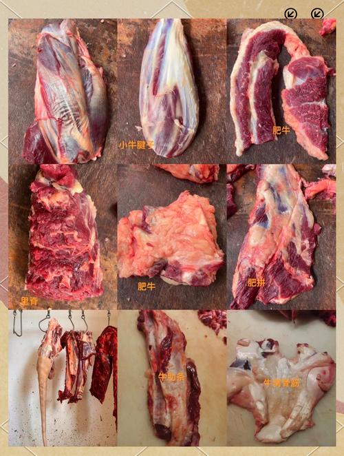 牛肉肥饼是什么部位_肥瘦相间香嫩滑