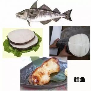 什么鱼冒充鳕鱼最多_别把油鱼当鳕鱼买！