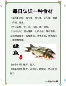鲢鳙是一种鱼吗_水质清洁工，常见食用鱼