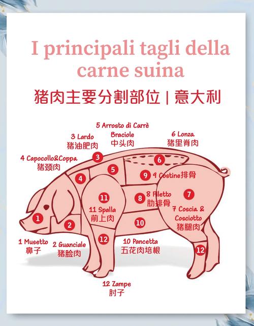 猪各部位肉的名称图解_煎炒炖涮,选对才美味! 猪各部位肉的名称图解_煎炒炖涮,选对才美味!
