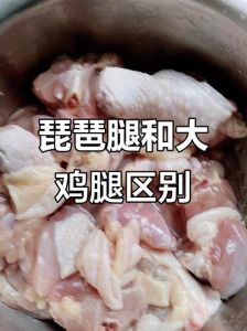 琵琶腿和鸡边腿位置图_琵琶腿鸡边腿怎么选？烹饪方式大不同