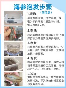 海参花泡发的正确方法_海参花泡发做法与美味吃法
