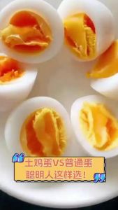 笨鸡蛋和普通鸡蛋的区别_笨鸡蛋营养口感好，普通鸡蛋性价比高