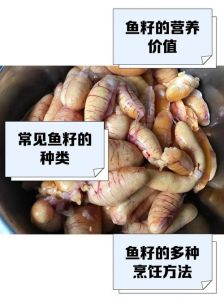 雄鱼有鱼籽吗_公鱼没鱼籽，鱼籽营养要适量