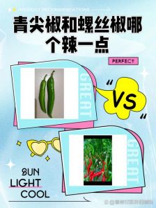 青尖椒怎么看辣不辣_青尖椒辣度怎么选？去辣有妙招！