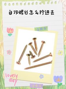 双头螺丝怎么拧进去图解_细节决定成败