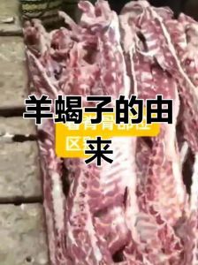 为什么羊骨头叫羊蝎子_羊蝎子补钙养颜，火锅炖汤都美味！