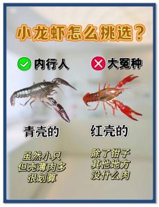 小龙虾图片对比_红壳青壳小龙虾怎么选？口感烹饪看这里！