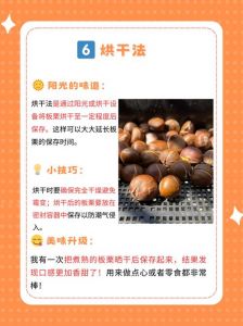 板栗怎么长期保存不会坏_板栗怎么保存？通风冷冻晒干等方法