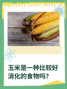 吃熟玉米容易产生胃酸吗_胃不好慎吃玉米，纤维刺激需注意