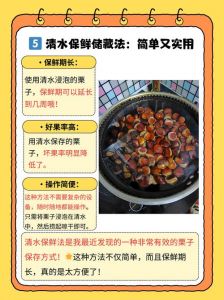 板栗怎样长期保存_新鲜板栗挑选清洗与保存方法