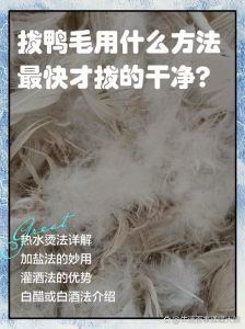 鸭毛怎样能快速拔干净_热水泡松，捏紧拔毛，干净又快