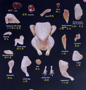 鸡腿部位分解图_鸡腿炸烤快，琵琶腿炖煮香