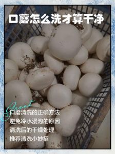 蘑菇焯水几分钟能熟_蘑菇焯水时间多久？大小种类有讲究