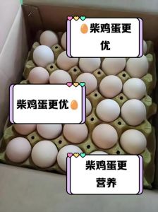柴鸡蛋与普通鸡蛋区别_口感营养大不同