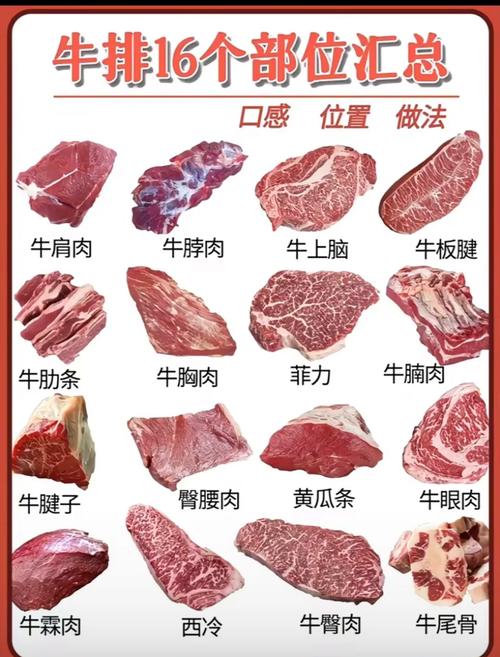 牛肉卷怎么区分部位图解_潮州火锅牛肉部位怎么挑？