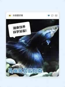 鱼要死了加盐好使吗_别信盐救鱼！科学方法才靠谱