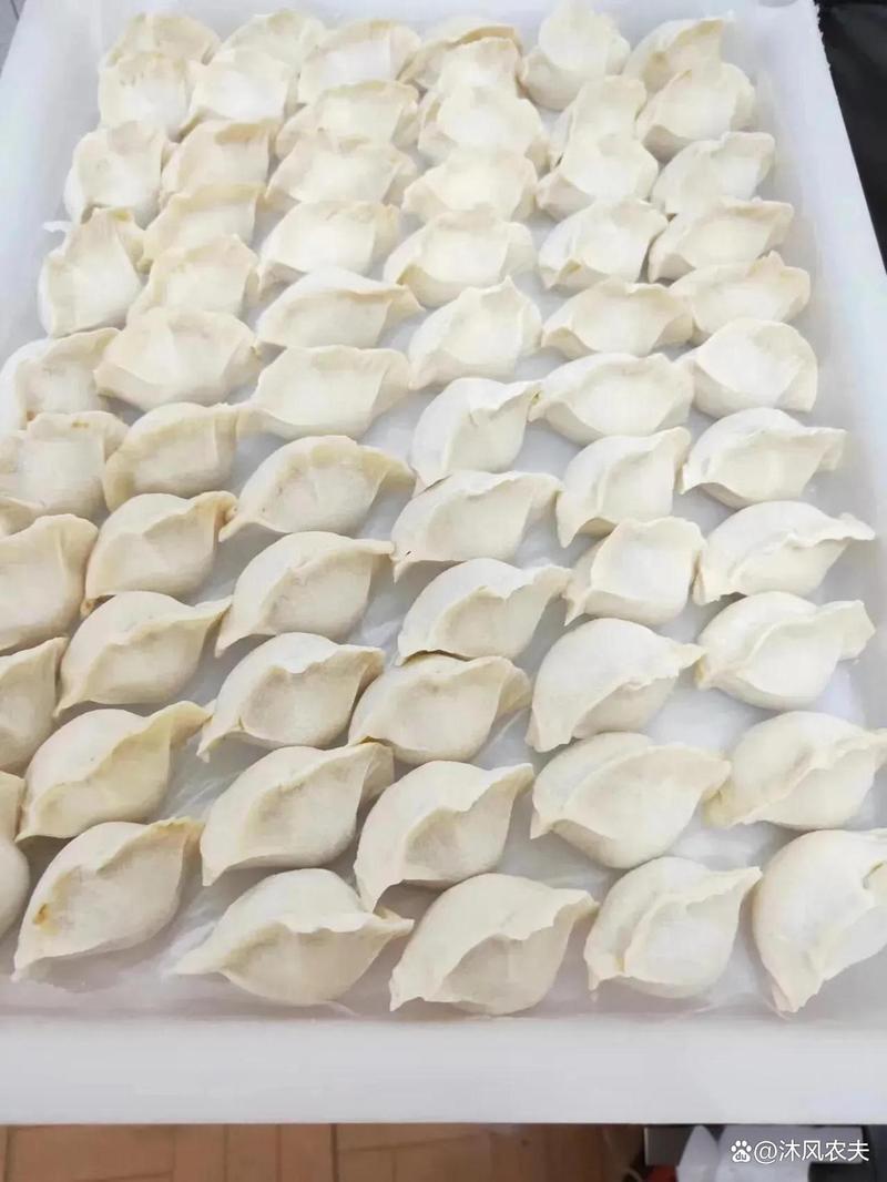 煮熟的饺子可以冷冻吗_冷冻饺子皮会变硬,密封平铺冷冻,解冻后蒸煮加热食用 煮熟的饺子可以冷冻吗_冷冻饺子皮会变硬,密封平铺冷冻,解冻后蒸煮加热食用
