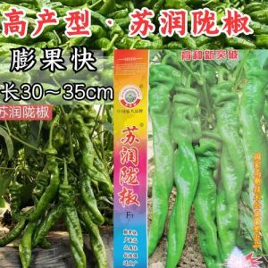 螺丝椒与陇椒区别_辣味适中，高产抗病