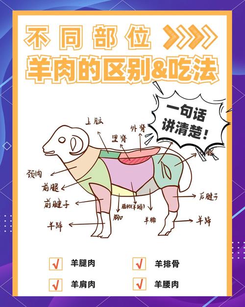 羊杂包含哪些部位_羊内脏美味，营养丰富！