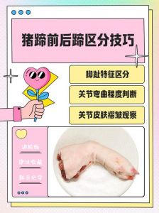 牛蹄跟猪蹄的区别_牛蹄低脂强筋，猪蹄胶原抗衰