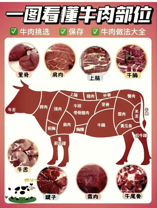 牛肉卷怎么区分部位图解_潮州火锅牛肉部位怎么挑？