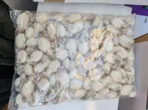 墨鱼仔是乌贼吗_墨鱼乌贼怎么分？
