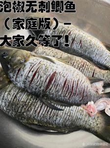 鲫鱼有刺海棠无香_完美难求，缺憾常态