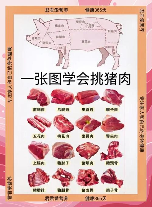 猪各部位肉的名称图解_煎炒炖涮,选对才美味! 猪各部位肉的名称图解_煎炒炖涮,选对才美味!